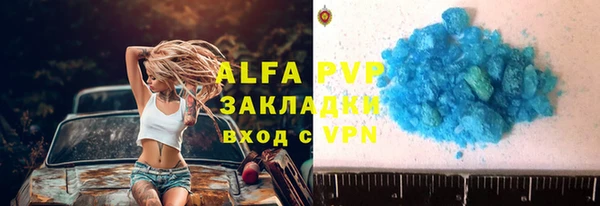 стаф Сафоново